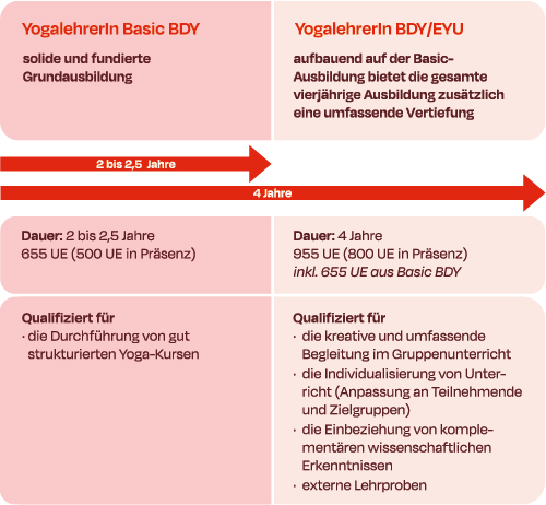 Die zwei Ausbildungsmodelle des BDYoga: YogalehrerIn BDY/EYU und YogalehrerIn Basic BDY