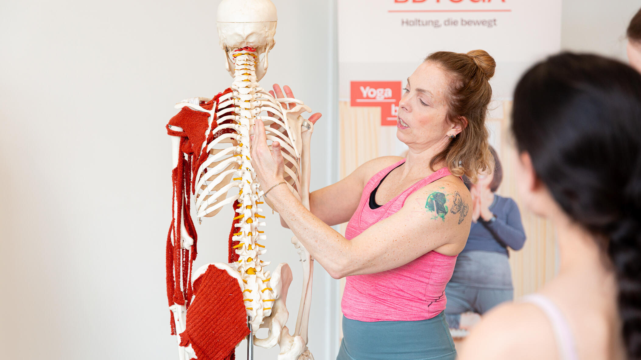 Anatomie für Yogelehrende