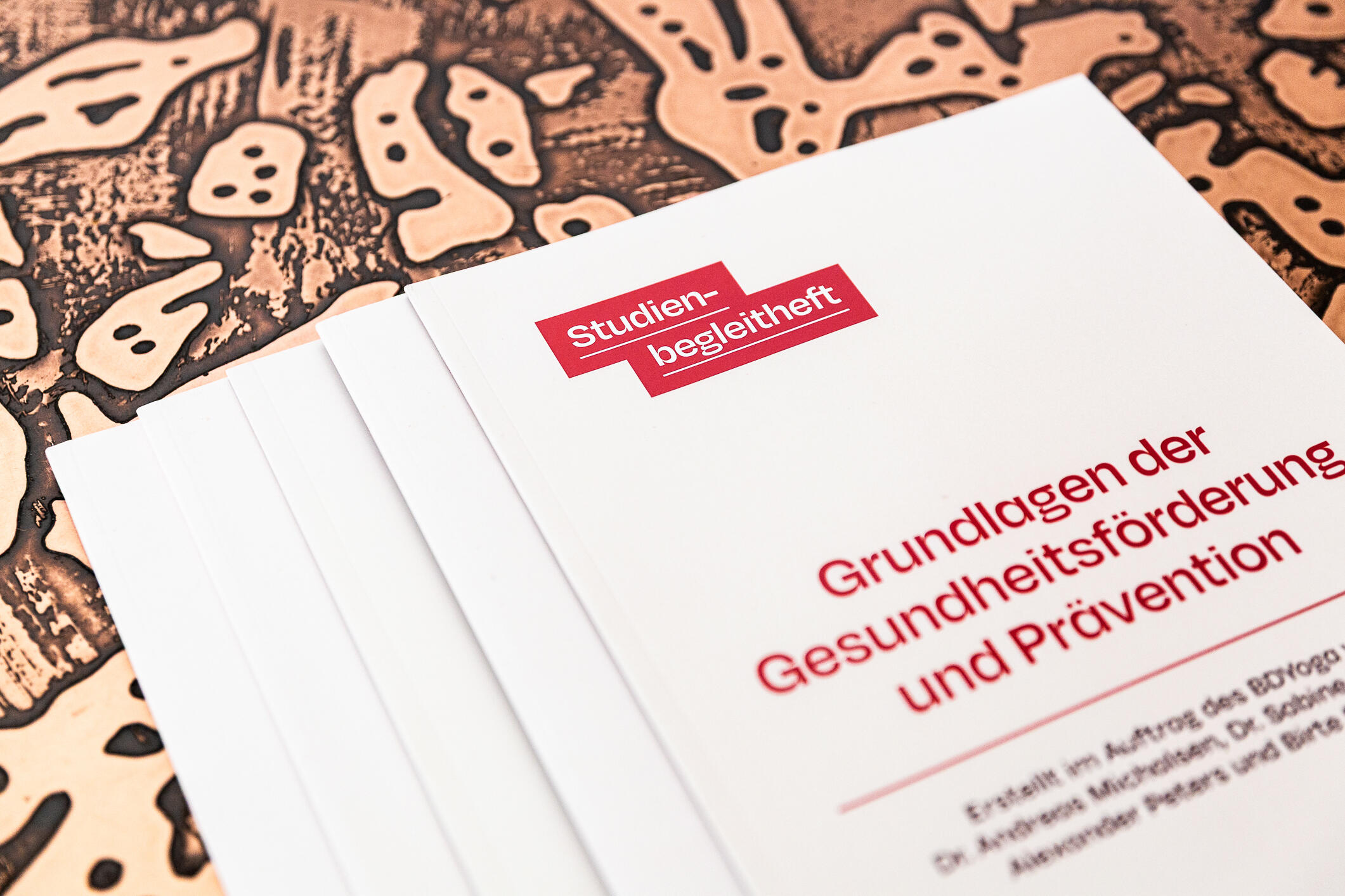 Studienbegleithefte des BDYoga