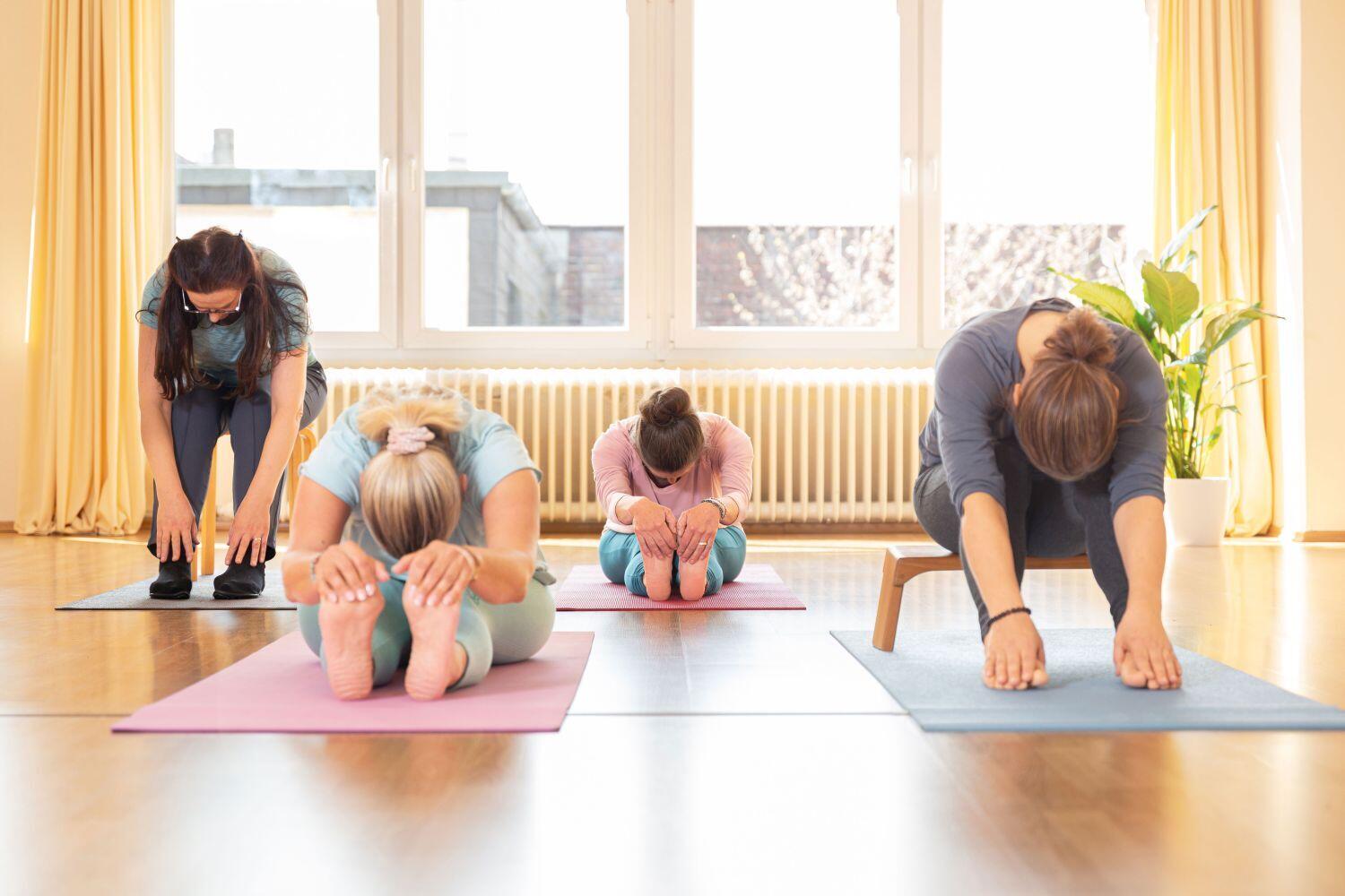 Die Yogagruppe zeigt Varianten der sitzenden Vorbeuge Paschimottanasana.