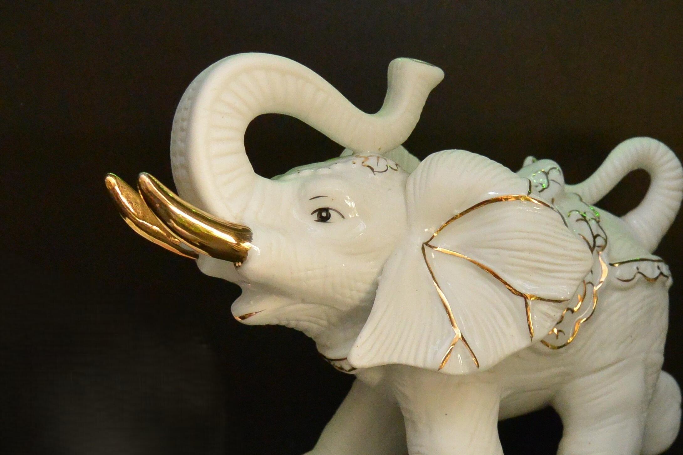 Elefant im Porzellanladen