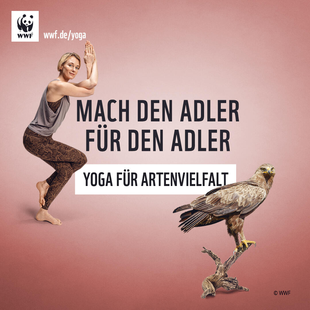 WWF Yoga für Artenvielfalt